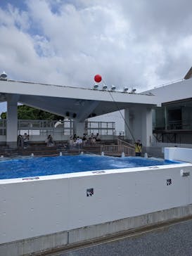 九十九島水族館海きららに投稿された画像（2021/6/28）