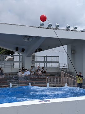 九十九島水族館海きららに投稿された画像（2021/6/28）