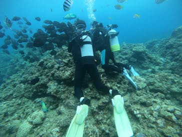 武藤潜水に投稿された画像（2021/6/28）