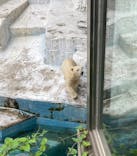 天王寺動物園に投稿された画像（2021/6/28）