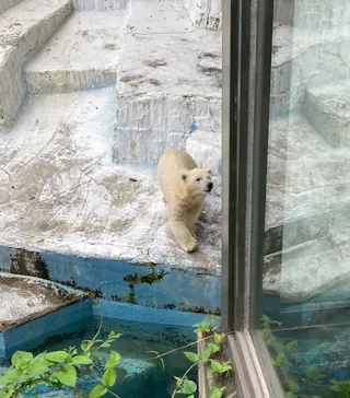 天王寺動物園に投稿された画像（2021/6/28）