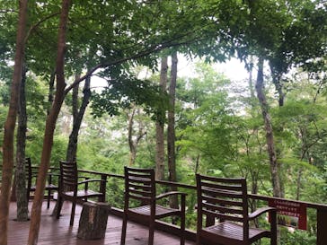 モダン湯治 おんりーゆーに投稿された画像（2021/6/28）