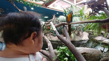 那須どうぶつ王国に投稿された画像（2021/6/28）