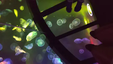 すみだ水族館に投稿された画像（2021/6/28）
