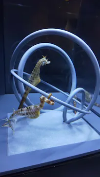 すみだ水族館に投稿された画像（2021/6/28）