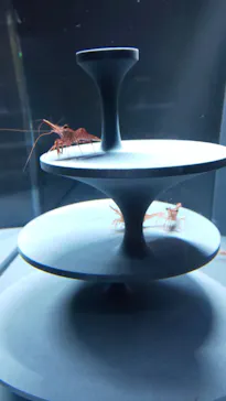 すみだ水族館に投稿された画像（2021/6/28）