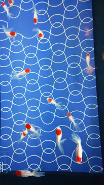 すみだ水族館に投稿された画像（2021/6/28）