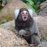 神戸どうぶつ王国に投稿された画像（2021/6/28）