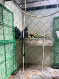 天王寺動物園に投稿された画像（2021/6/29）
