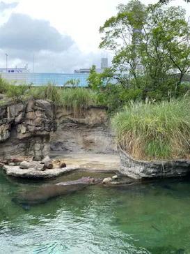 天王寺動物園に投稿された画像（2021/6/28）
