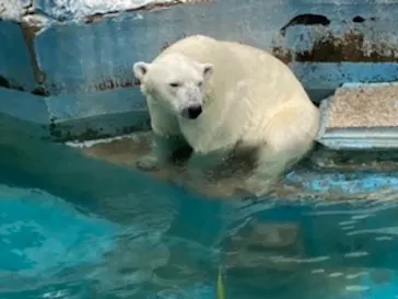 天王寺動物園に投稿された画像（2021/6/29）