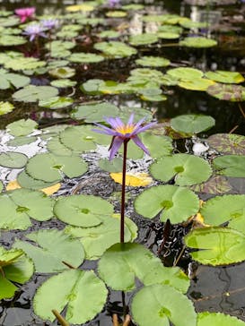 神戸どうぶつ王国に投稿された画像（2021/6/29）