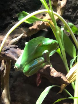 マクセル アクアパーク品川に投稿された画像（2021/6/29）