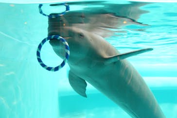 マリンワールド海の中道に投稿された画像（2021/6/29）