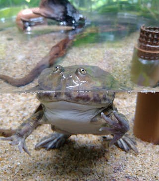 サンシャイン水族館に投稿された画像（2021/6/29）