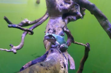 サンシャイン水族館に投稿された画像（2021/6/29）