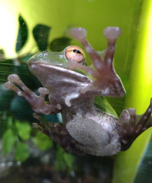 サンシャイン水族館に投稿された画像（2021/6/29）