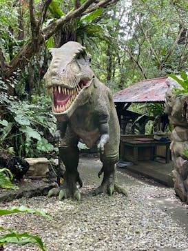 御菓子御殿　名護店　やんばる亜熱帯の森DINO恐竜PARKに投稿された画像（2021/6/29）
