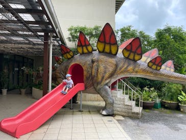 御菓子御殿　名護店　やんばる亜熱帯の森DINO恐竜PARKに投稿された画像（2021/6/29）