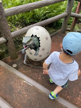 御菓子御殿　名護店　やんばる亜熱帯の森DINO恐竜PARKに投稿された画像（2021/6/29）