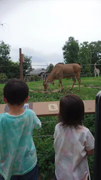 天王寺動物園に投稿された画像（2021/6/29）