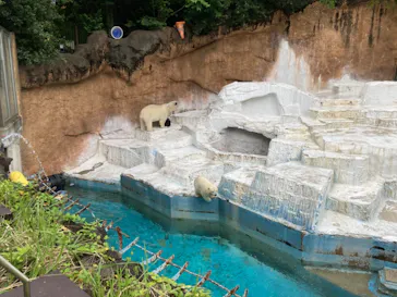天王寺動物園に投稿された画像（2021/6/29）