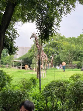 天王寺動物園に投稿された画像（2021/6/29）