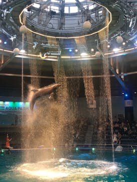 マクセル アクアパーク品川に投稿された画像（2021/6/29）