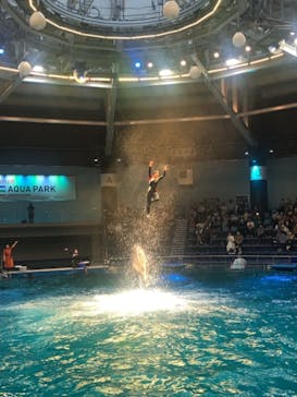 マクセル アクアパーク品川に投稿された画像（2021/6/29）