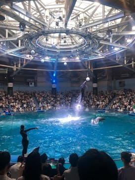 マクセル アクアパーク品川に投稿された画像（2021/6/29）