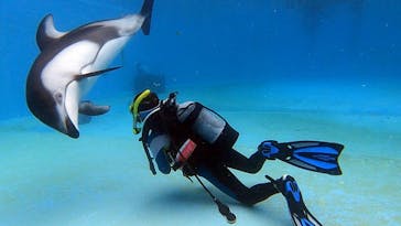 下田海中水族館に投稿された画像（2021/6/29）