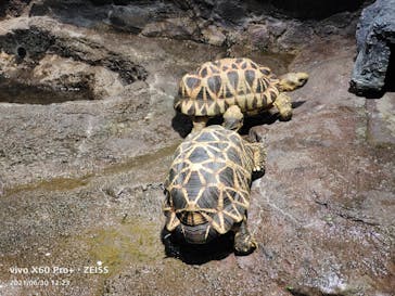 サンシャイン水族館に投稿された画像（2021/6/30）