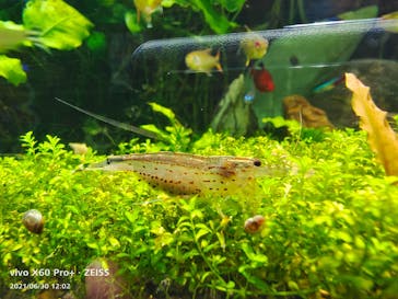 サンシャイン水族館に投稿された画像（2021/6/30）