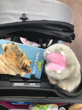 天王寺動物園に投稿された画像（2021/6/30）