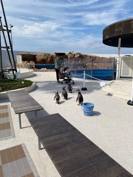 大分マリーンパレス水族館 「うみたまご」に投稿された画像（2021/6/30）