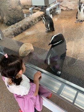 京都水族館に投稿された画像（2021/6/30）