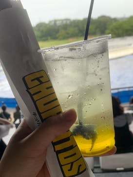 京都水族館に投稿された画像（2021/6/30）