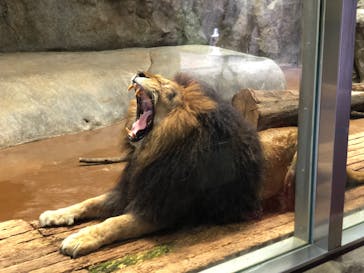 よこはま動物園ズーラシアに投稿された画像（2021/6/30）