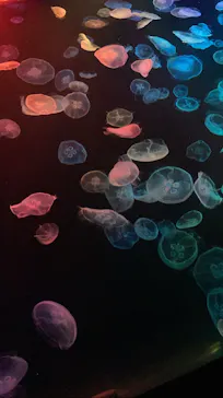 すみだ水族館に投稿された画像（2021/6/30）