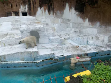 天王寺動物園に投稿された画像（2021/7/1）