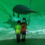 カワスイ 川崎⽔族館に投稿された画像（2021/7/1）