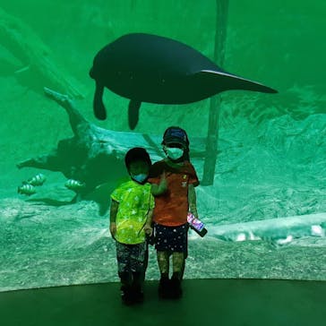 カワスイ 川崎⽔族館に投稿された画像（2021/7/1）