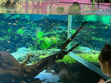 カワスイ 川崎⽔族館に投稿された画像（2021/7/1）