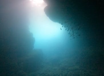 青の洞窟専門店　沖縄ダイビングショップ和に投稿された画像（2021/7/1）