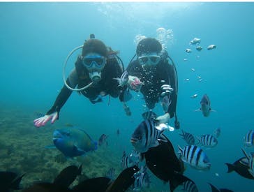 青の洞窟専門店　沖縄ダイビングショップ和に投稿された画像（2021/7/1）