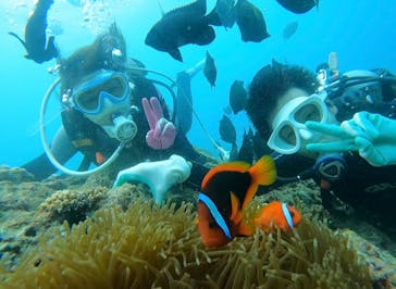 青の洞窟専門店　沖縄ダイビングショップ和に投稿された画像（2021/7/1）