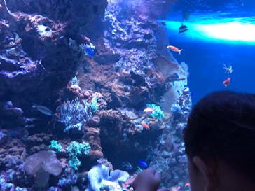 サンシャイン水族館に投稿された画像（2021/7/2）