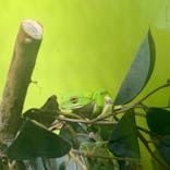 サンシャイン水族館に投稿された画像（2021/7/2）