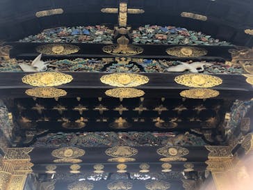 元離宮二条城に投稿された画像（2021/7/2）