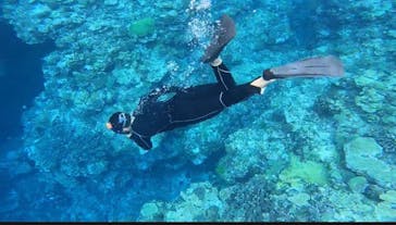 マリンクラブ ベリー 那覇店に投稿された画像（2021/7/2）